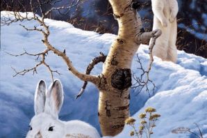 Картинки зайчата зимой