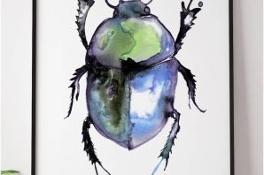 Картинки майский жук