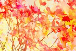 Осень картинки красивые яркие