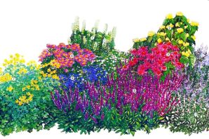 Картинка клумба с цветами