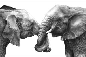 Слон с поднятым хоботом картинка