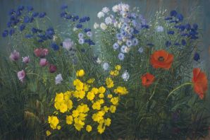 Картинки цветы луговые и полевые