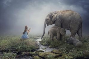 Картинка мудрецы и слон