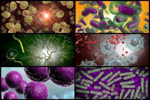 Картинки микроорганизмы
