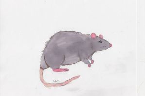 Дамбо крыса картинки
