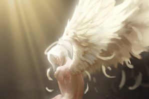 Картинки человек с крыльями ангела