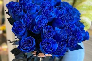 Синие розы картинки