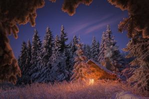 Зимний лес ночью картинки
