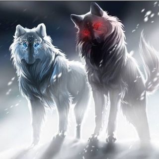 Волк и волчица картинки