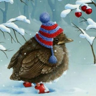 Птицы зимой красивые картинки