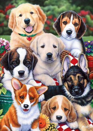 Картинка много собак