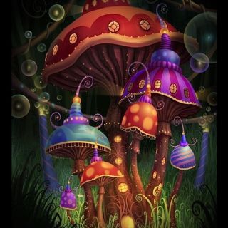 Картинки псилоцибиновый гриб