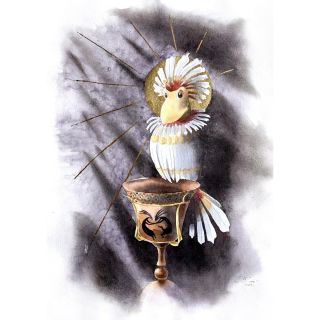 Картинки птица говорун