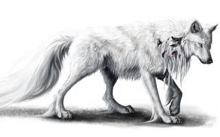 Серебряный волк картинки
