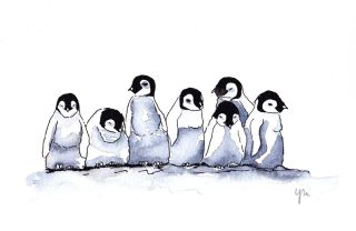 Пингвинчики картинки