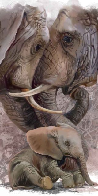 Картинки семья слонов