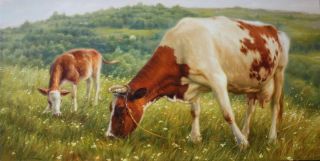 Картинки стадо коров