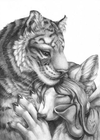 Лиса и тигр картинки