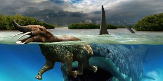 Картинки динозавров плавающих