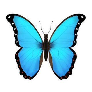 Синяя бабочка картинка