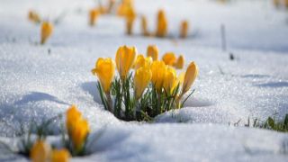 Зимняя весна картинки