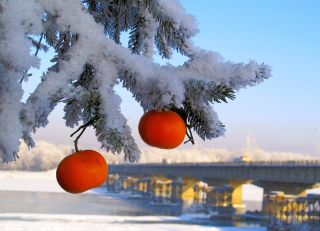 Доброе зимнее утро с мандаринами картинки