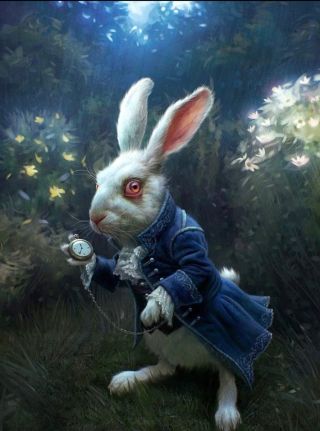 Картинка год белого кролика
