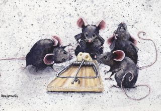 Крысы в коллективе смешные картинки