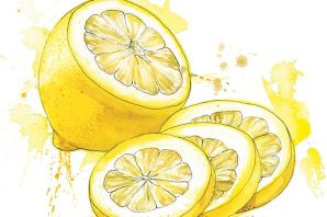 Картинки с лимоном красивые