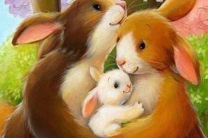 Семья кроликов картинки
