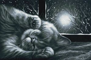 Картинки спокойной ночи с котами