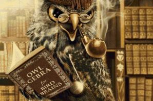 Картинка сова в очках с книгой