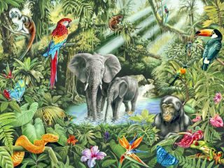 Животные джунглей картинки