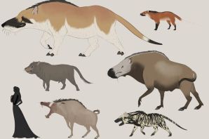 Картинки млекопитающих животных