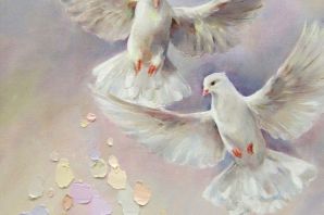 Белые голуби в небе картинки