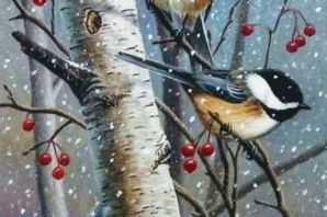 Картинки с птицами зимой на ветках