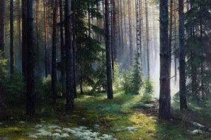 Картинки леса беларуси