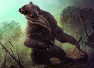 Картинка медведь в лесу