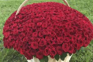 Красивые розы картинки огромные букеты
