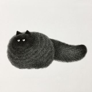 Картинки толстый серый кот