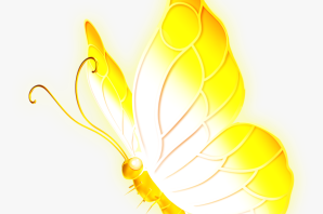 Бабочки желтые картинки
