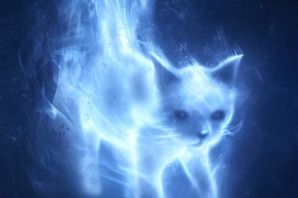 Картинка огненный кот