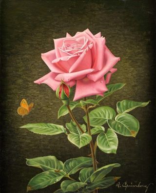 Картинки три розы