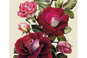 Розы картинки рисунки красивые