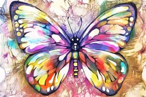 Бабочки разноцветные картинки