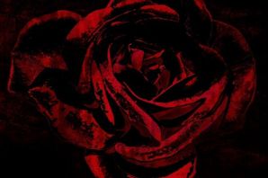 Темные розы картинки