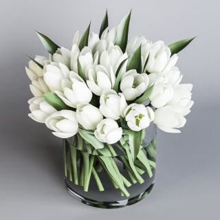 Букет белых тюльпанов картинки