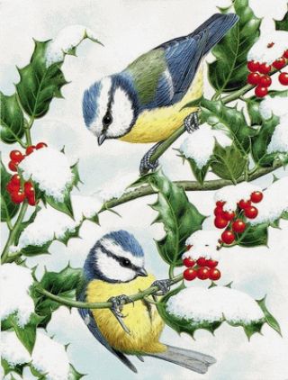 Картинки день зимующих птиц