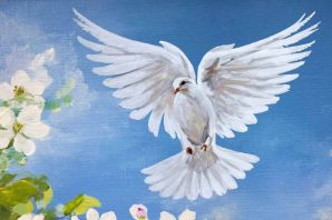 Картинка мирный голубь