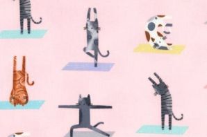 Йога с кошками картинки